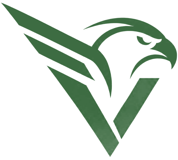 Falco Virtus